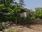 Prime Land for Sale in Rajagiriya