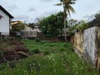 Prime Land for Sale in Rathmalana – Borupana Road