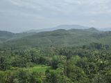 Prime Land for Sale in Ratnapura - Nivitigala