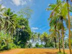 Prime Land for Sale in Talagala, Homagama