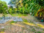 Prime Land for Sale in Thalawathugoda