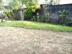 Prime Land for Sale Kotte