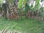 Prime Land for Sale Maharagama Town
