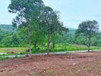 Prime Land For Sale Matale,Kanangamuwa(Riverston road)