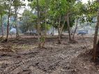 Prime Land for Sale - Matara, Madiha / Polhena (EM893)
