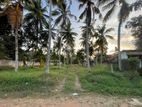 Prime Land for Sale Minuwangoda