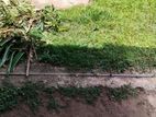 Prime Land for Sale Mount Lavinia