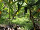 Prime Land for Sale Near Galle Town