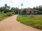 Prime Land for Sale Near Katunayake Airport