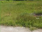 Prime Land for Sale Near Negombo Hospital – 26.5 Perches