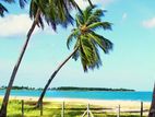 Prime Land for Sale Near Pasikuda Beach
