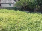 Prime Land for Sale Pannipitiya