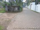 Prime Land for Sale Pannipitiya