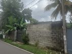 Prime Land for Sale Pannipitya