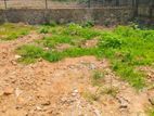 Prime Land for Sale – Pelawatta (600m from Junction) [LS103]