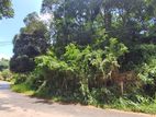 Prime Land for Sale – Peradeniya