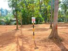 Prime land for Sale - Pothuhera TR 025