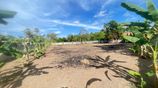 Prime Land for Sale - Puttalam City Center