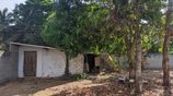 Prime Land for Sale - Puttalam City Center