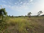 Prime Land for Sale – Ranna