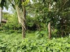 Prime Land for Sale – Rathmalana, Srimal Uyana Damma Dara Road