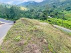 Prime Land for Sale - Rozella, Hatton TR 029