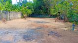 Prime Land for Sale Seeduwa
