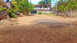 Prime Land for Sale Seeduwa