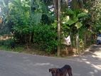 Prime Land for Sale Talawathugoda