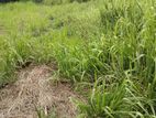 Prime Land for Sale – Templers Road, Mount Lavinia