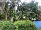 Prime Land for Sale – Thalawathugoda Junction Access