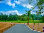 Prime Land for Sale - Warakapola Tr 025