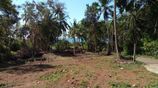 Prime Land for Sale with Breathtaking Beach Views