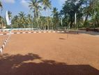 Prime Land in a Fast-Growing Area Panadura Y31