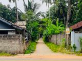 Prime Land In Thorayaya