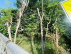 Prime Land Near Kandy Road – Kadawatha