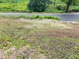 Prime Land Plot for Sale - Hatton TR 605