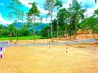Prime Land Plot - Warakapola TR 633