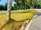 Prime Land Sale – Panagoda