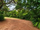 Prime Land with 2-Storey House for Sale in Kalubowila (LA4900)