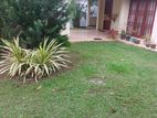 Prime Land with House for Sale Kandana