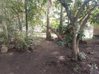 Prime Land with Old House for Sale Near Negombo Beach and Lagoon!