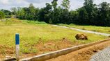 Prime Lands For Sale in Ehaliyagoda