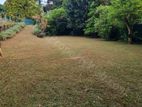 Prime Landscaped Land for Sale – Talawathugoda