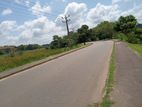Prime Large Land for Sale – High Potential Malabe
