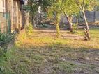 Prime located land for sale in Negambo Thimbirigaskatuwa