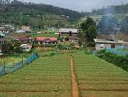Prime Located Land for Sale in Nuwara Eliya Shanthipura