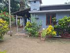 Prime Location Land in Chankanai