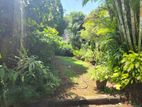 Prime Main Road-Facing Land for Sale – Dehiwala, Karagampitiya