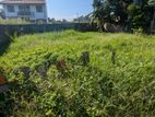 Prime Negombo Land for Sale